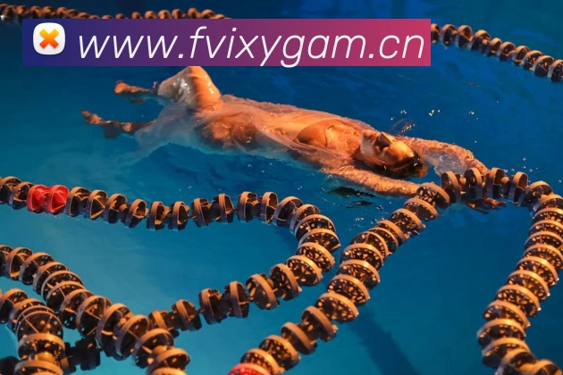 星空网官网登录入口发展历程